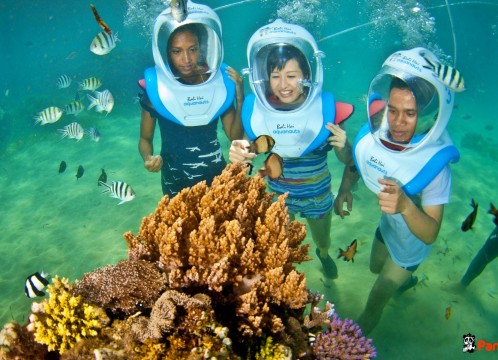 リーフクルーズ _04